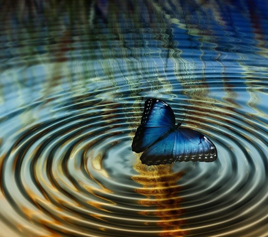 farfalla